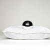 Egyptian Cotton Pillow
